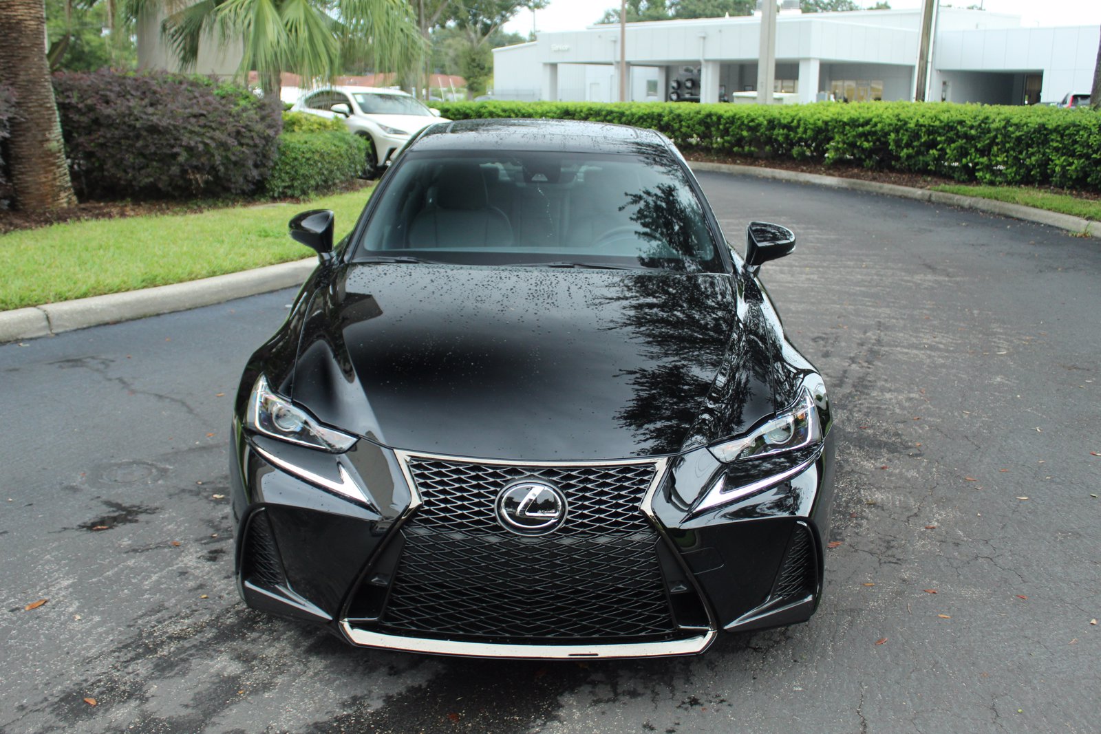 New 2020 Lexus IS 350